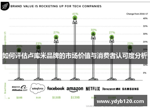 如何评估卢库米品牌的市场价值与消费者认可度分析 如何评估卢库米品牌的市场价值与消费者认可度分析