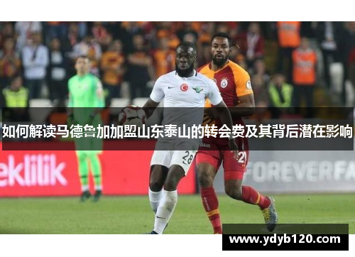 如何解读马德鲁加加盟山东泰山的转会费及其背后潜在影响
