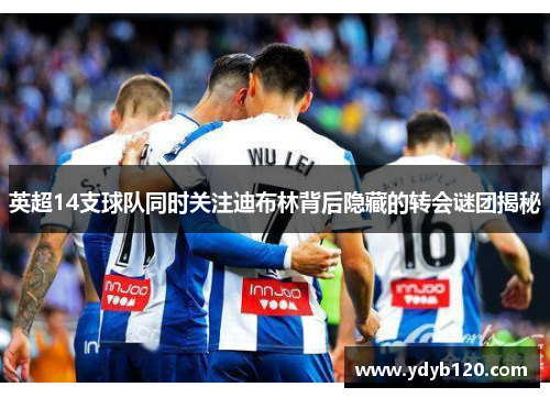英超14支球队同时关注迪布林背后隐藏的转会谜团揭秘 英超14支球队同时关注迪布林背后隐藏的转会谜团揭秘