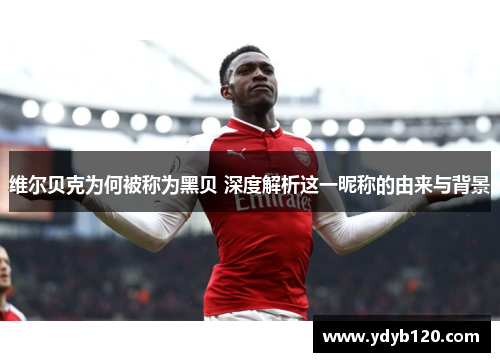 维尔贝克为何被称为黑贝 深度解析这一昵称的由来与背景